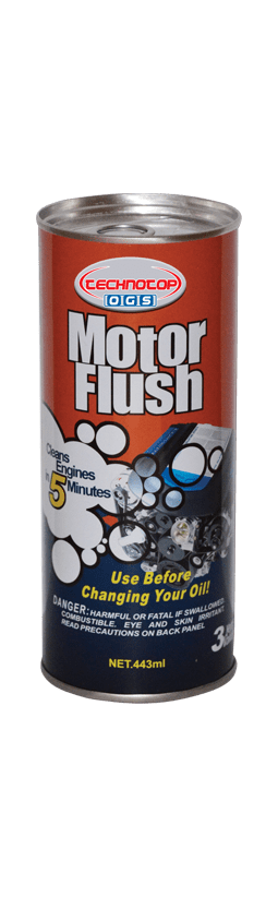 motor flush